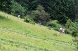 201307060741-AJS_3872.jpg